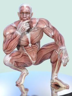 88142 男性肌肉图 Masculine Muscle Maps for Genesis 9