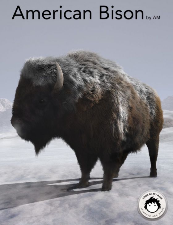 00-main-american-bison-am-daz3d.jpg