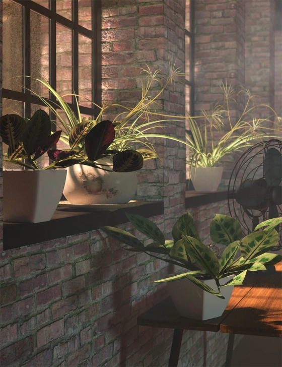 tropical-plants-vol-4-house-plants-00-main-daz3d.png