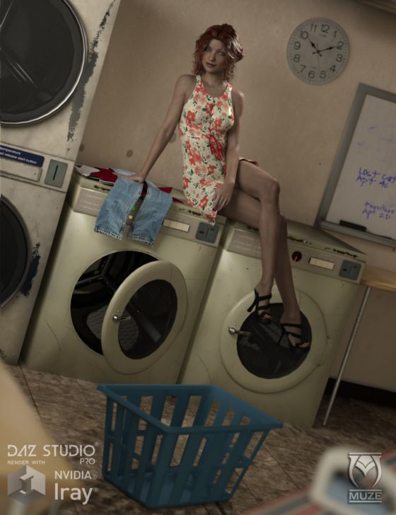 00-main-basement-laundry-daz3d.jpg