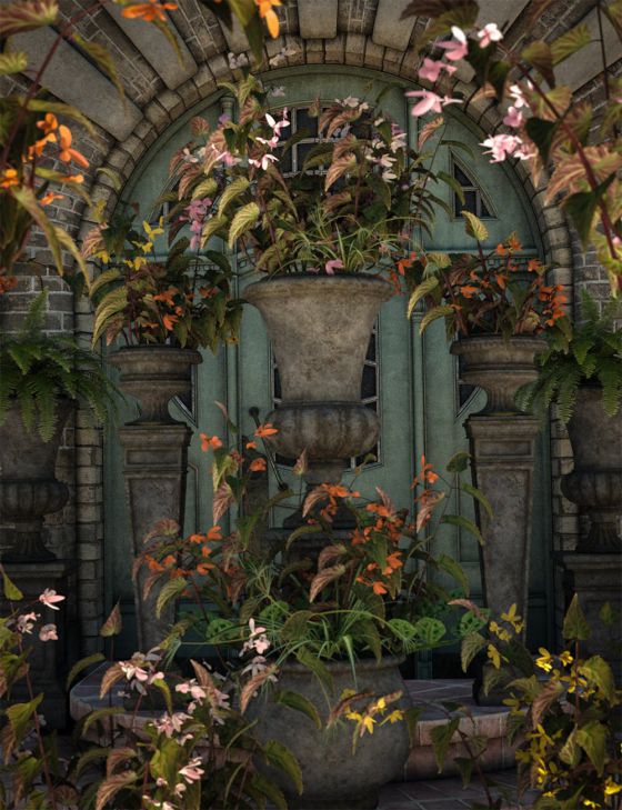 tropical-flowers--dragon-wing-begonia-plants-00-main-daz3d.jpg