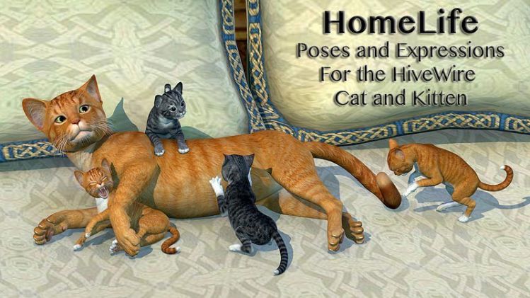 11521-homelife-for-the-hw-house-cat-and-kitten-main.jpg