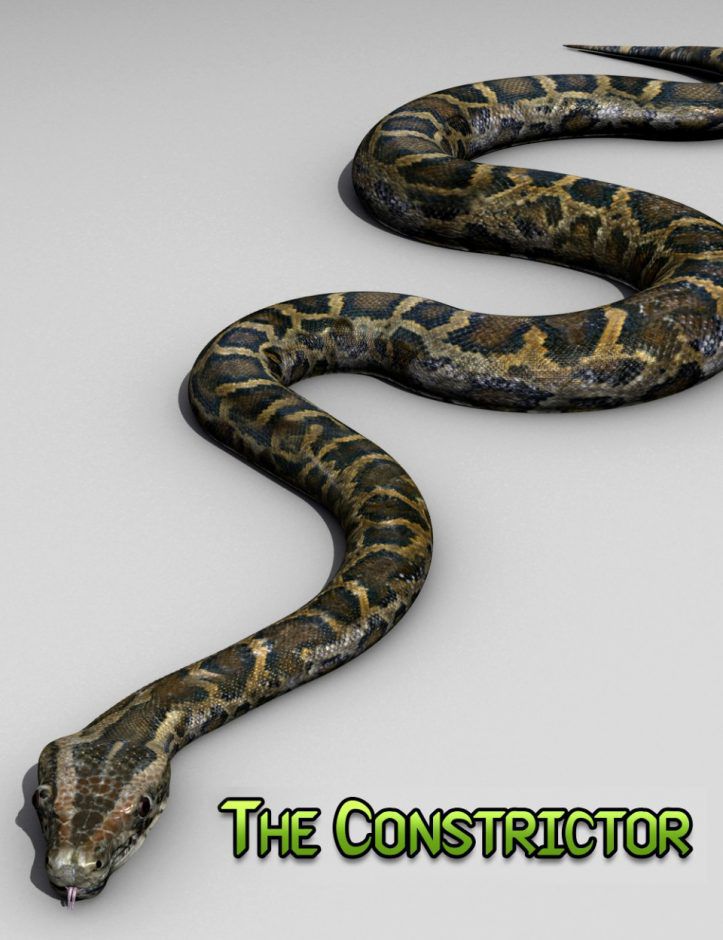 00-main-the-constrictor-daz3d-scaled.jpg