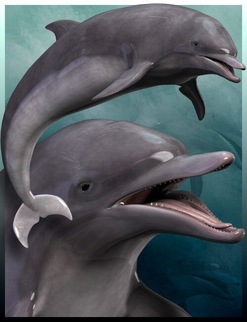 Dolphin-Poses.jpg