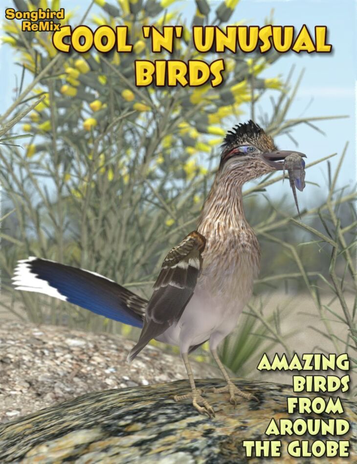 Songbird-ReMix-Cool-Unusual-Birds.jpg