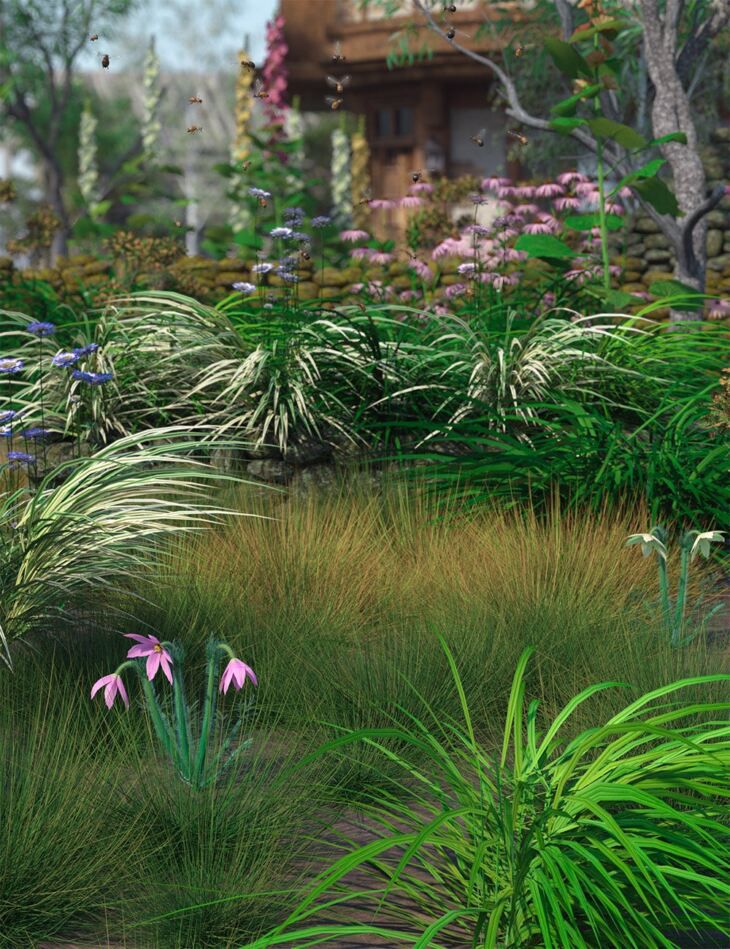 Ornamental-Grass-Plants-and-Groups-for-Daz-Studio.jpg