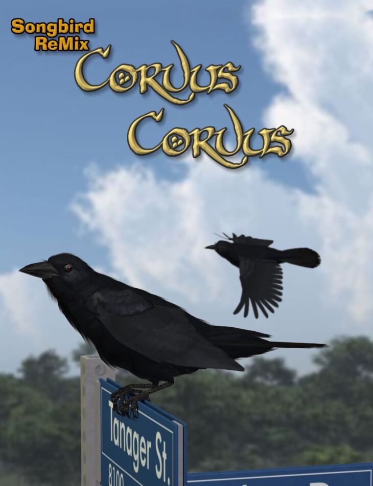 Songbird-ReMix-Corvus-Corvus.jpg