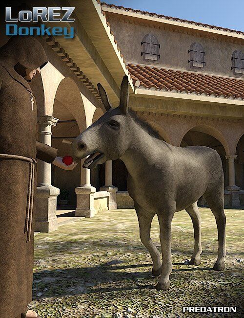 LoREZ-Donkey.jpg