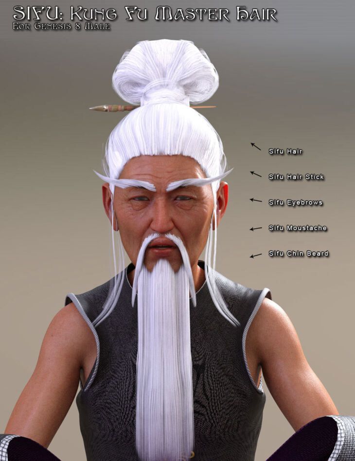 Sifu-Kung-Fu-Master-Hair-for-G8M.jpg
