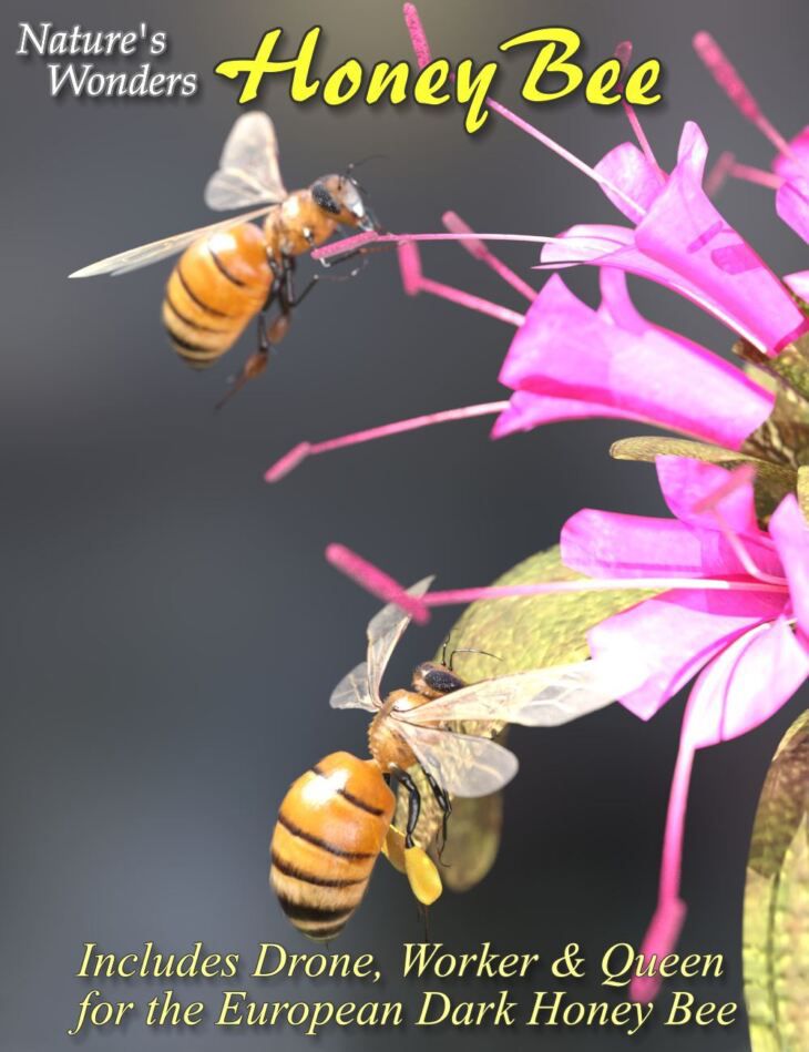 Natures-Wonders-Bee.jpg