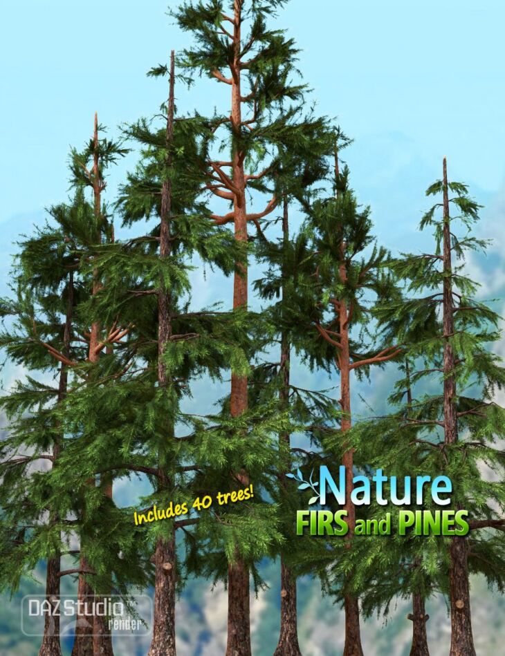 Nature-Firs-and-Pines.jpg