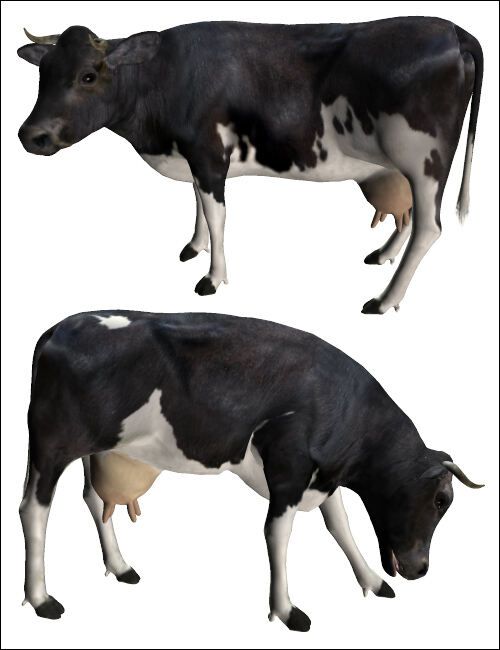 Noggins-Cow-Add-ons.jpg