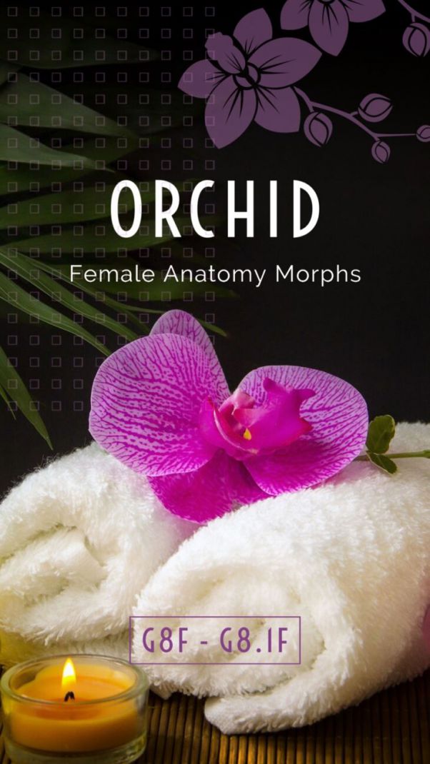 Orchid-Genital-Morphs-for-G8F-Anatomy-.jpg