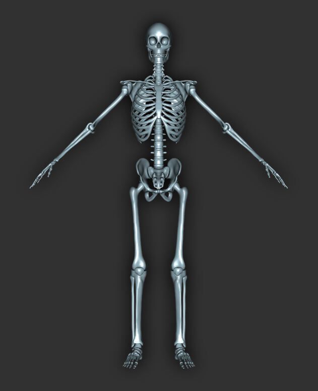 Skeleton-For-Genesis-9.jpg