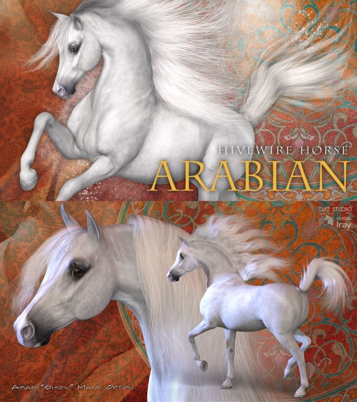 HiveWire-Horse-Arabian.jpg