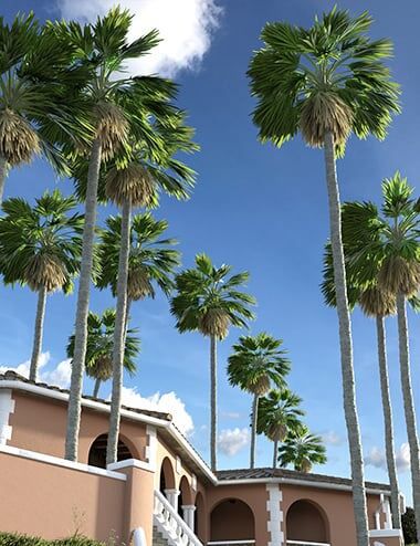 Predatron-Washingtonia-Fan-Palm-Trees.jpg