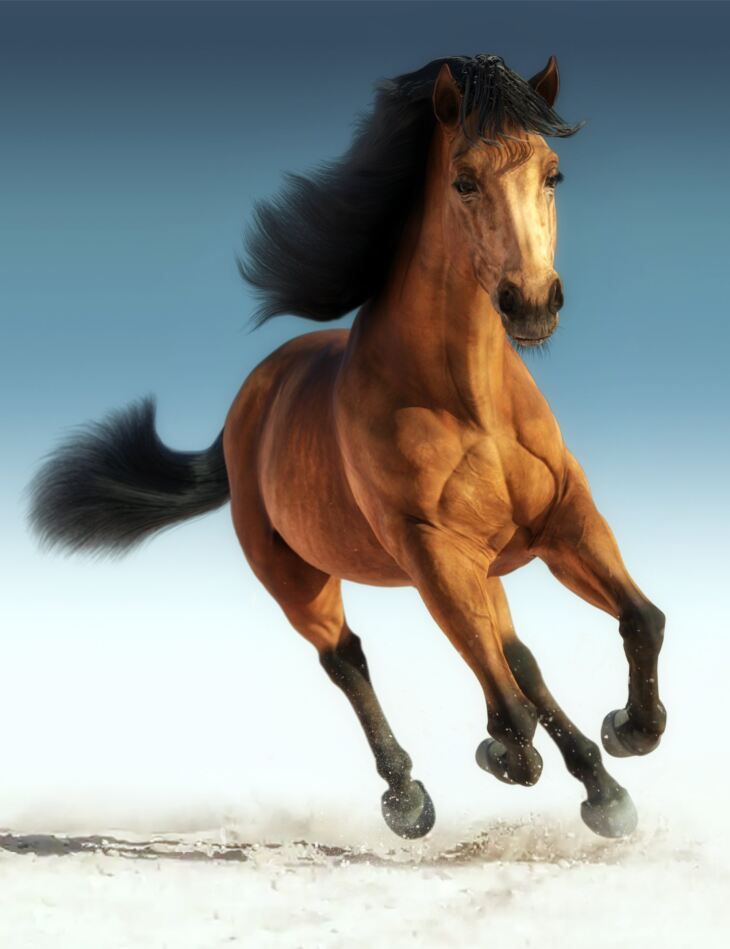 Daz-Horse-3.jpg