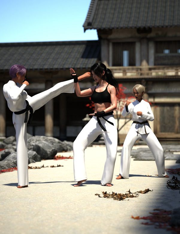 kyokushin-karate-pose-pack-for-genesis-8-00-main-daz3d.jpg