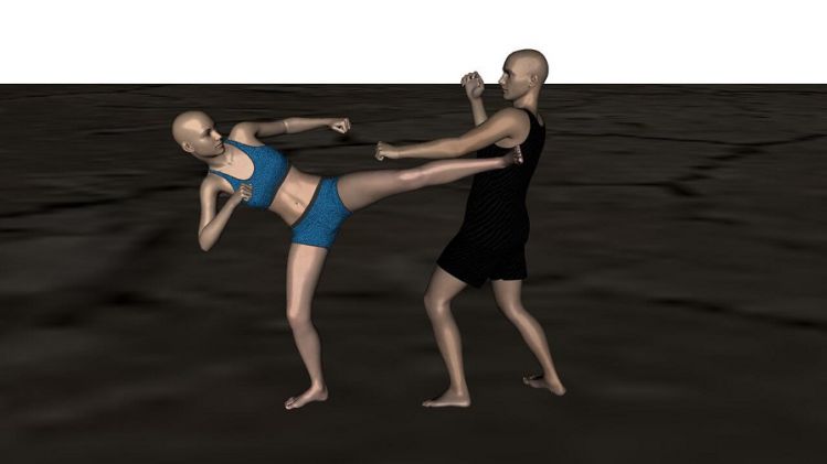 fighting-aniblocks-for-genesis-8-male-and-female-01.jpg