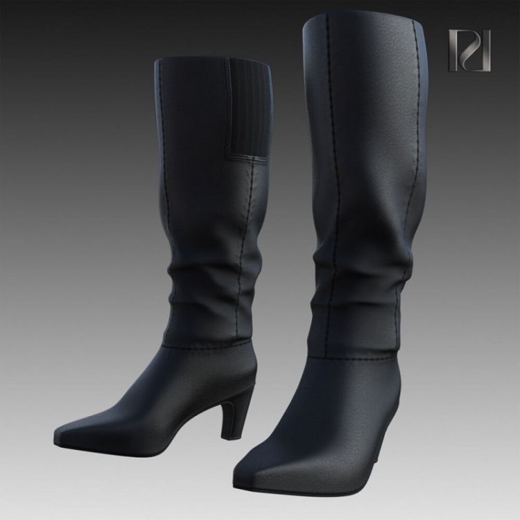 glamour-pin-of-heels-17-high-boots-for-g9-01.jpg