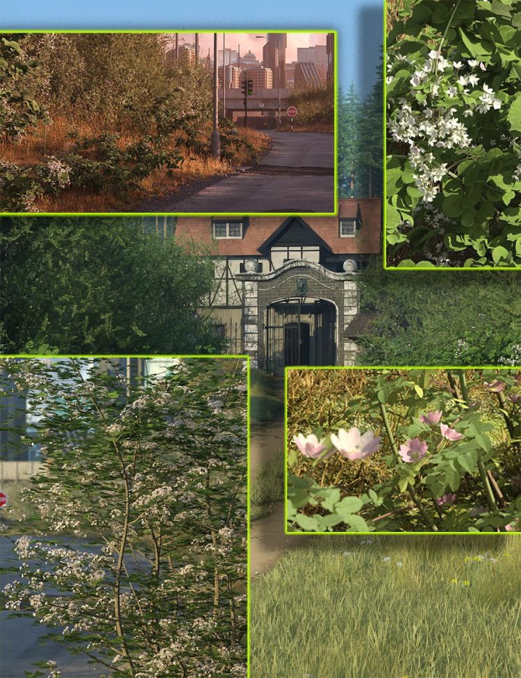 hedgerowkitbundle00maindaz3d.jpg