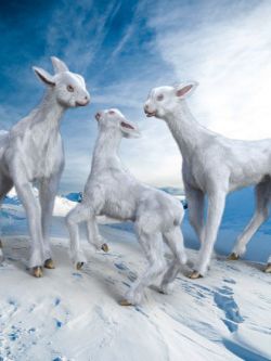 142392 动物 羊 Midnight Creature 02 Snow Llama