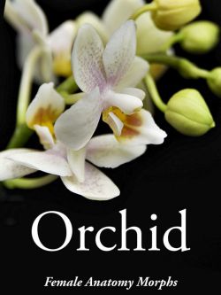 157024 G9F 解剖学生殖器变形  Orchid - Genital Morphs for G9F Anatomy