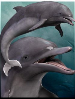 3254 动物 海豚   Dolphin