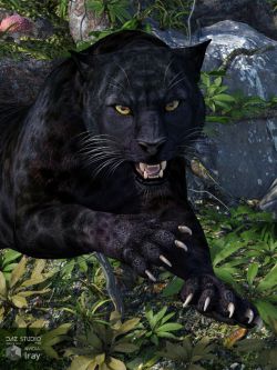 黑豹 纹理 CWRW Black Panther for the HiveWire Big Cat