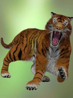 11315 动物 老虎 Tigers by AM