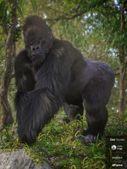 61259 动物 大猩猩 Gorilla for Genesis 8 Male