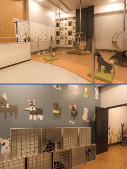 81805 场景 动物小屋 Dog Spa