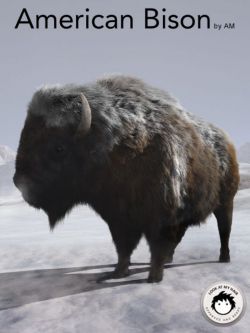 20865 动物 美洲野牛 American Bison