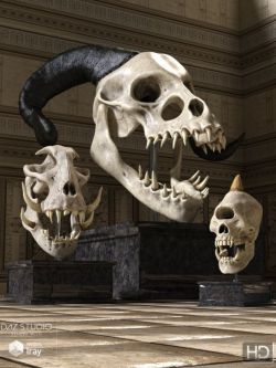 44297 动物头骨 Monster Skulls HD