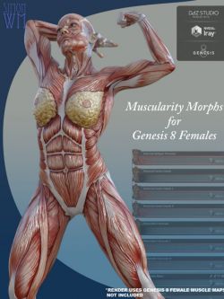48815 人物 G8F 肌肉形态 Muscularity Morphs for Genesis 8 Female