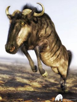 66965 牛羚 角马 Gnu for DAZ Horse 2 by AM