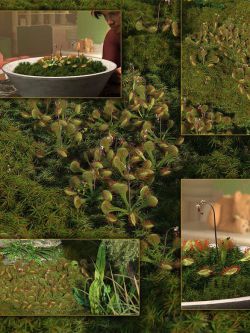 91281 道具 小型食虫植物 - 茅膏菜 Tiny Carnivorous Plants - Sundews