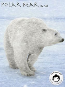 17848 动物 北极熊 Polar Bear by AM