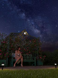 77195 环境灯光 Orestes Iray HDRI Skydomes - A Night in August