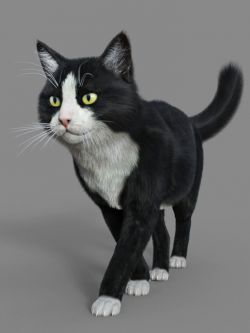 动物 猫的纹理 Tuxedo Cat for Mars