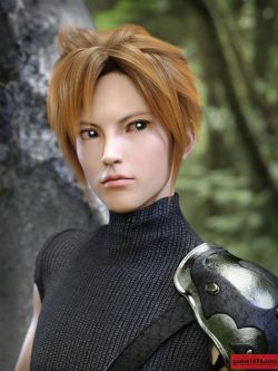 81464 头发 Kota Hair for Genesis 8 and 8.1 Males