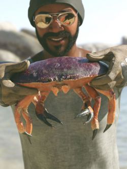 85213 动物 珍宝蟹 Dungeness Crab HD
