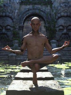 88928 姿态 Serenity Yoga Poses for Genesis 9 Masculine