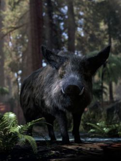 49685 动物 野猪 Wild Boar by AM