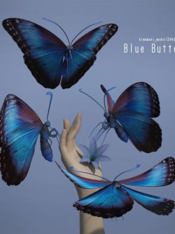 153061 动物 蓝蝴蝶  Blue Butterfly