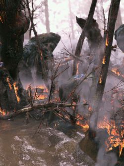 89422 烧毁的森林的小场景  XI Elven Forest Burnt Add-On