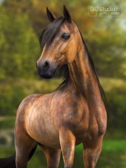 15246 动物 马 DAZ Horse 2
