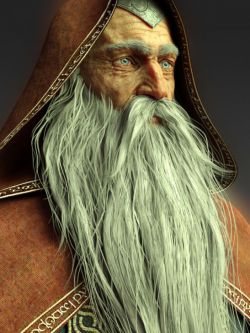 52575 头发 Wise Wizard Beard for Genesis 8 Male