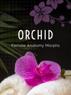 156552 生殖器纹理 Orchid - Genital Morphs for G8F Anatomy