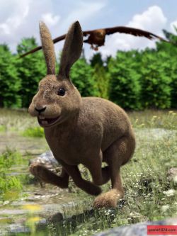 81181 野兔 Caesar the Hare for Daz Dog 8